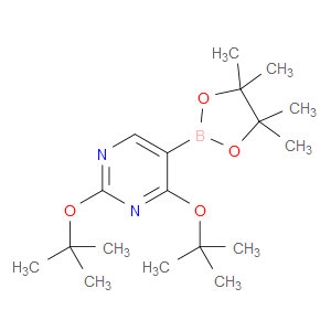 2,4-二叔丁氧基嘧啶-5-硼酸匹那醇酯
