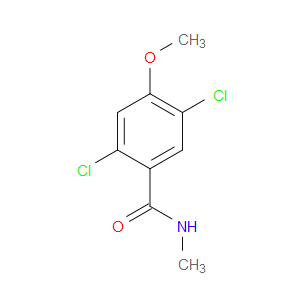2,5-dichloro-4-methoxy-N-methylbenzamide