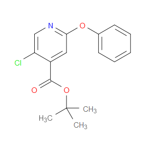 tert-butyl 5-chloro-2-phenoxyisonicotinate